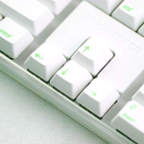 Qisan Mechanical Gaming Keyboard Crystal Case GATERON Blue Switch 100% Full Size 108 Keys PBT Dye-subbed Keycaps Green Font with White Backlight Magicforce