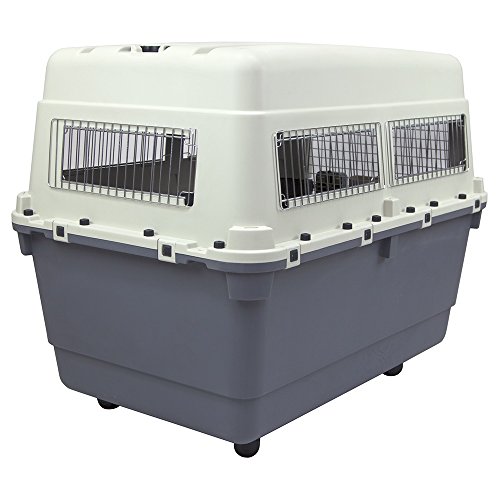 Plastic Kennels Rolling Plastic Airline Approved Wire Door Travel Dog