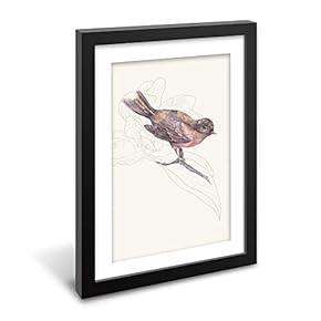 Black Paper Framed Canvas Wall Art for Living Room, Bedroom Beautiful Birds Flying Canvas Prints for Home Decoration Ready to Hanging - 23x31 inches