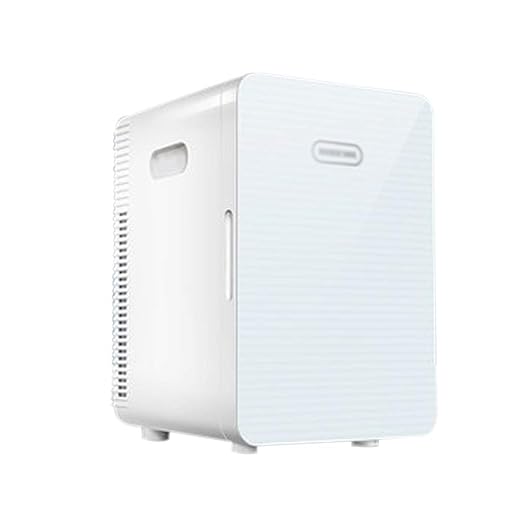 Mini Nevera Eléctrica Nevera Eléctrica 12V 220V portátil y ...