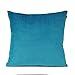 Shinnwa Velvet Super Soft Decorative Throw Pillow Case Solid Twin Side Cushion Covers for Bench, 18