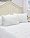 Essence of Bamboo Derived Rayon Gel Fiber Pillows - Down Alternative, Hypoallergenic .9 Micro Denier Filled Pillows with Bamboo Derived Rayon/Poly Cover (Queen 2-Pack, Extra Soft) Crafted in The USA