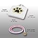 iMounTEK Hygienic Dog/Pet Geyser Water Fountain (41