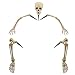 Halloween Haunters Life Size Realistic Groundbreaker Skeleton Bones Prop Decoration - Scary Plastic Body Parts Skull, Hands, Feet, Arms, Legs with Lawn Stakes - Graveyard Tombstone Haunted Grave