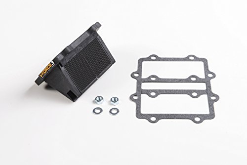 MOTO TASSINARI VForce3 Reed Valve System