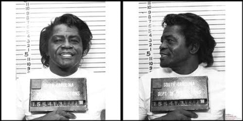 Mugshot - James Brown - Canvas Art Poster. Size: 12" X 24"
