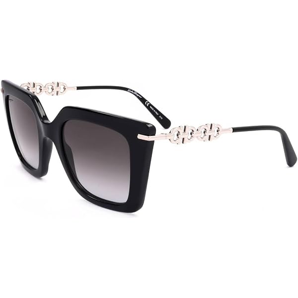 Salvatore Ferragamo Sunglasses Square Full Rim, Black Frame and