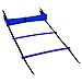 REEHUT Agility Ladder Speed Training Exercise Ladders (Blue, 12 Rungs)  w/ Free User E-Book + Carry Bag