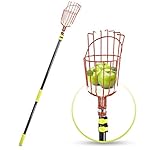 Fruit Picker Tool or Fruit Picking Equipment with Basket - 13ft Long Aluminium Telescoping Pole - Extra Lightweight - Ideal for Picking All Kinds of Fruits - Easy Use for All Ages - Includes Sponge