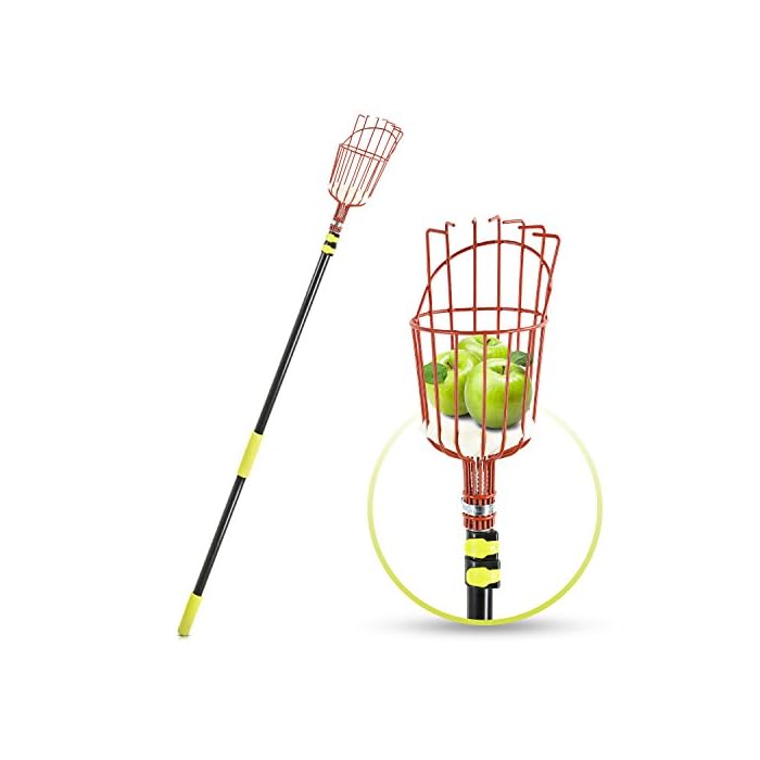Abco Tech Fruit Picker Tool or Fruit Tree Picking Pole with Basket13ft