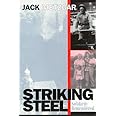 Striking Steel (Solidarity Remembered) (Critical Perspectives on the past series)