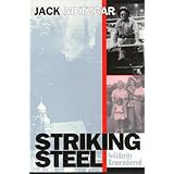 Striking Steel (Solidarity Remembered) (Critical Perspectives on the past series)