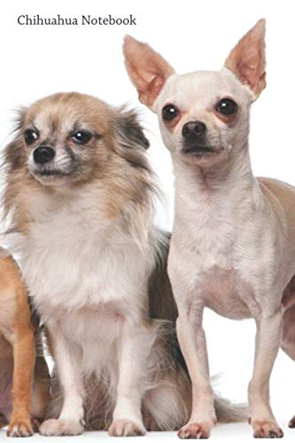 Chihuahua Notebook: Cool Chihuahua notebook - Travel Journal to write in - 120 pages - 6"x9"