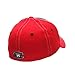 NHL Zephyr Men's Powerhouse Z-Fit Hat