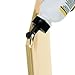 Meinl Make Your Own Cajon Kit with Snares - MADE IN EUROPE - Ovangkol Frontplate / Baltic Birch Body, Includes Easy to Follow Manual (MYO-CAJ-OV)