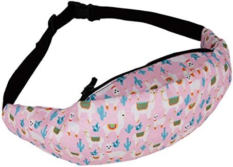 Running Belt Waist Fanny Pack for Men Women Adjustable Buckles Storage Pouch Bags Fitness Jogging Hiking (Multicolor G)