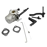 BestPartsCom New Replace Carburetor for Briggs & Stratton 591378 796321 696132 696133 796322 with Accessories