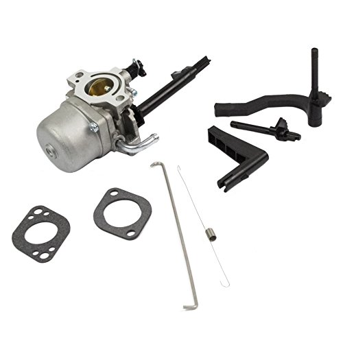 BestPartsCom New Replace Carburetor for Briggs & Stratton 591378 796321 696132 696133 796322 with Accessories