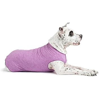 Gold Paw Sun Shield Dog Tee - T-Shirt for Canines - UV Protection, Pet Anxiety Relief, Wound Care - Protects Against Foxtails, Aids Alopecia - Machine Washable, All Season - Size 6 - Violet