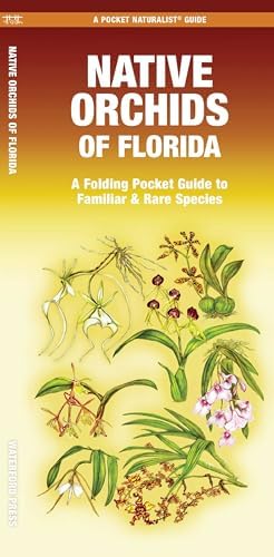 Native Orchids of North America: A Folding Pocket Guide to