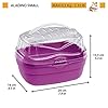 Ferplast Hamster and Other Small Rodent Carrier ALADINO Small Travel Cage for Small Animals Rodents Hamsters, Sturdy…