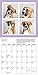 Shelter Dogs in a Photo Booth 2018 Wall Calendar