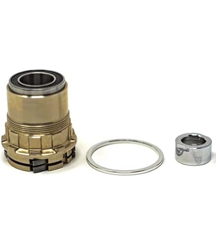 SRAM Rival XG-1250 12-Speed Cassette Silver, 10-36T : Amazon.ca