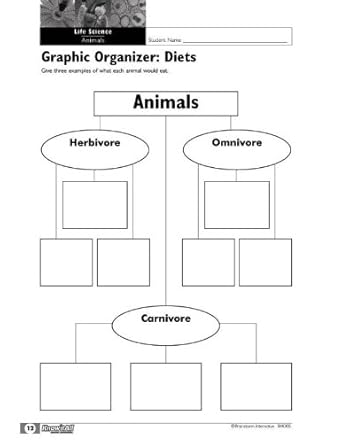 Amazon.com: Brainstorm Interactive Know it All Science Graphic