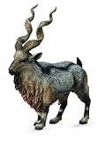 CollectA Tadjik Markhor Figure