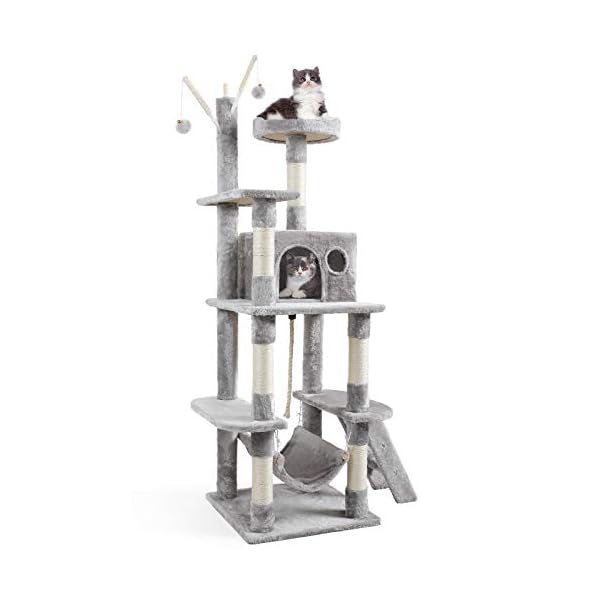 cat climbing scratching posts