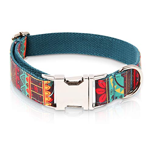 female dog collars
