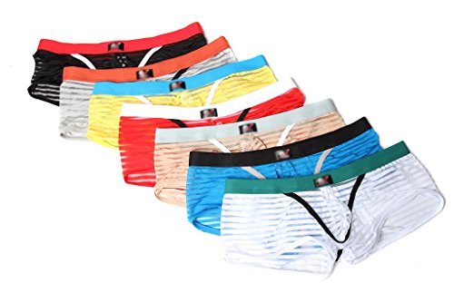 SilkWorld Men's Transparent Boxer Brief Pack of 7 US Small