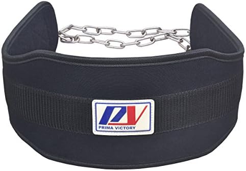 Dip Belt Weightlifting with Chain Pull Up And Fitness Body Building Heavy Duty Steel Chain Gym Power lifting Weighted Dipping Belt Men Women