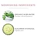 100% PURE Bright Eyes Masks Under Eye Skincare Wrinkle Smoothing Replenishment Diminish Dark Circles, Puffiness - Hydrating & Moisturizing Patches For Tired Eyes & Morning Bags - Vegan - 5 Pack