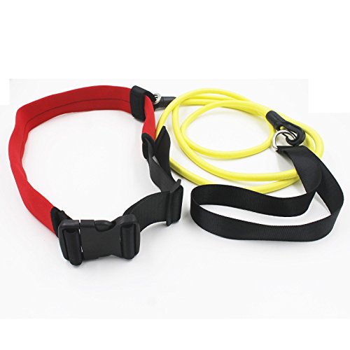 FidgetFidget Swim Belts Swim Bungee Training Belt Swim Resistance Leash Exerciser Belt Swim Tether