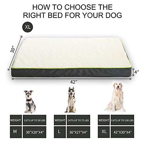 Hardy Buddy Oxford Egg Crate Foam Dog Bed for Small, Medium, Large Dogs