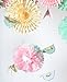 PAPER JAZZ Easter Party Home Baby Shower Birthday Spring Party Decoration Photo pros Booth Back Drop kit with Paper Fan Pompom Flower Honeycomb Ball Bird Peeps Hanging Decoration (Bird Fan)