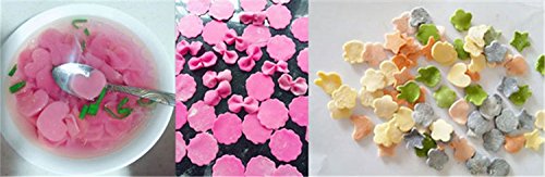 FantasyDay 9Pcs Vegetable Cutter Shapes Set for Kids, Fruit and Cookie Stamps Mold Pastry Cutters Cheese Presses Flower Star Heart Animals Stamp Mold Decorating Tools For Halloween& Christmas #1