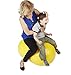 Sportime Physio Roll Exercise Therapy Fitness Ball - 12 Inches - Blue