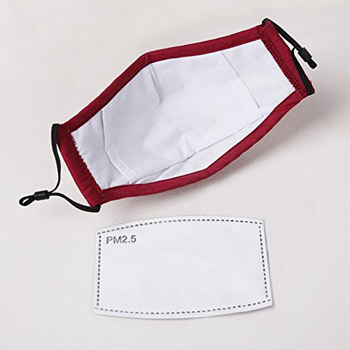 CHUANGLI 3 Pack Cute Kids Anti PM 2.5 Pollen Dust Mask Washable Cotton N95 Masks with Valve Replaceable Filter