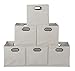 Niche Cubo Set of 6 Foldable Fabric Storage Bin with Label Holder- Natural