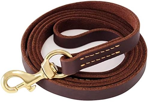 heavy duty leather dog leash