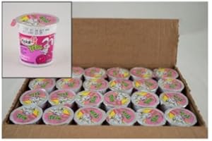 GENERAL MILLS Yoplait Trix Raspberry Rainbow Yogurt, 4 Ounce - 48 per case.