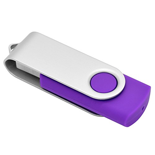OVANUS 16GB USB 2.0 Flash Drives Metal Memory Stick Storage U Disk (Purple)