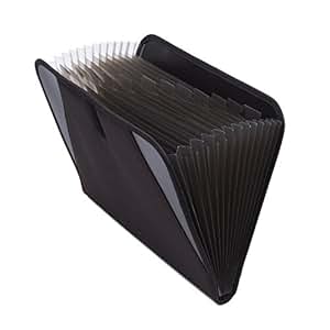 portable accordion file