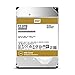 Western Digital 12TB WD Gold Enterprise Class Internal Hard Drive - 7200 RPM Class, SATA 6 Gb/s, 256 MB Cache, 3.5