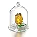 H&D Crystal Enchanted Rose Flower Figurine Dreams Ornament in a Glass Dome Gifts for her (Yellow)