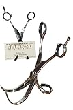 Business Card Holder Made from Real Scissors