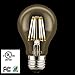 LETO A19 6W 2700k LED Dimmable Filament Edison Style Light Bulb, UL Listed, Soft White, 6-Pack