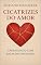 Livro Cicatrizes do Amor : Aprendendo com Relações Passadas